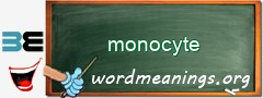 WordMeaning blackboard for monocyte